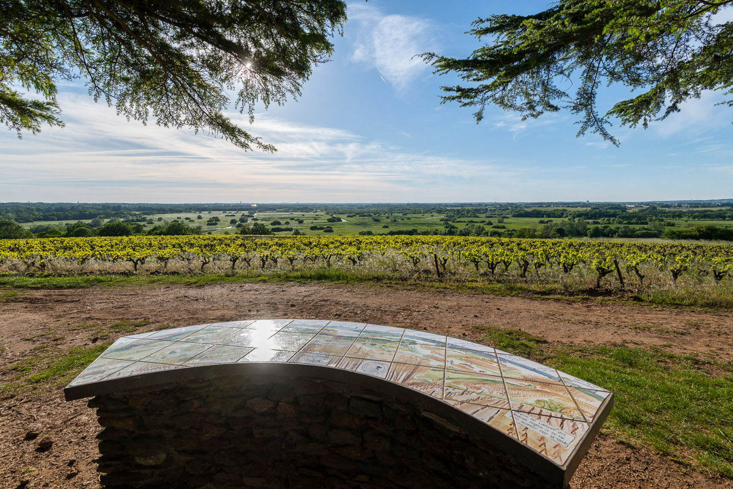butte de la Roche. vignoble nantais. vigne, paysage, vue